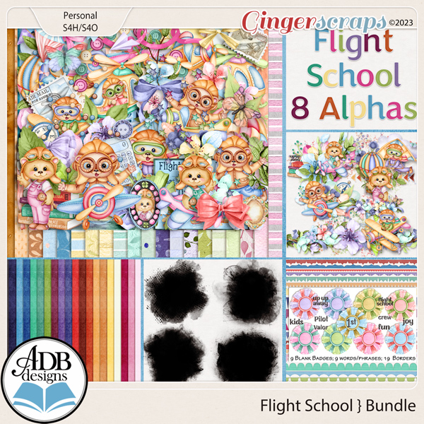 Flight School Bundle