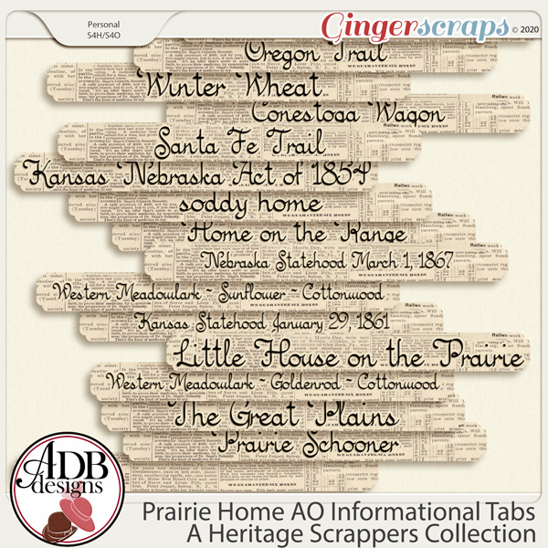 Prairie Home Add-On Informational Tabs