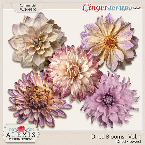 CU - Dried Blooms Vol. 1