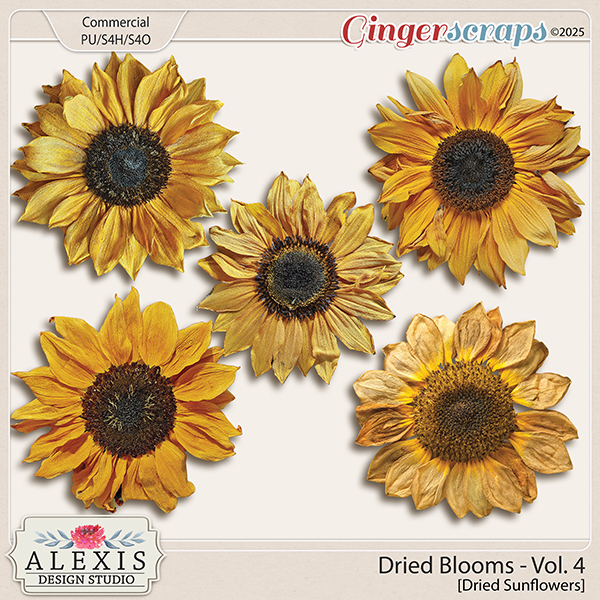 CU - Dried Blooms Vol. 4