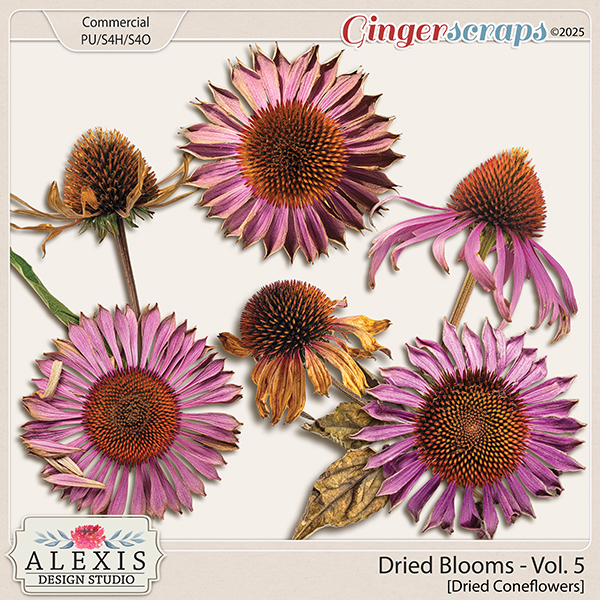 CU - Dried Blooms Vol. 5