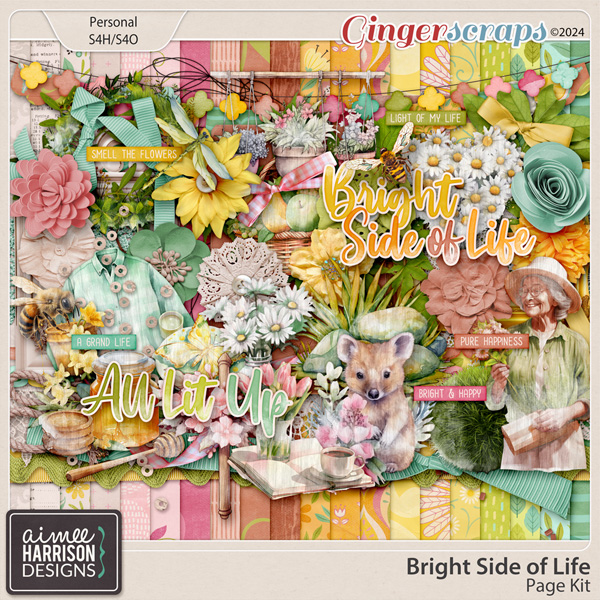 Bright Side of Life Page Kit by Aimee Harrison