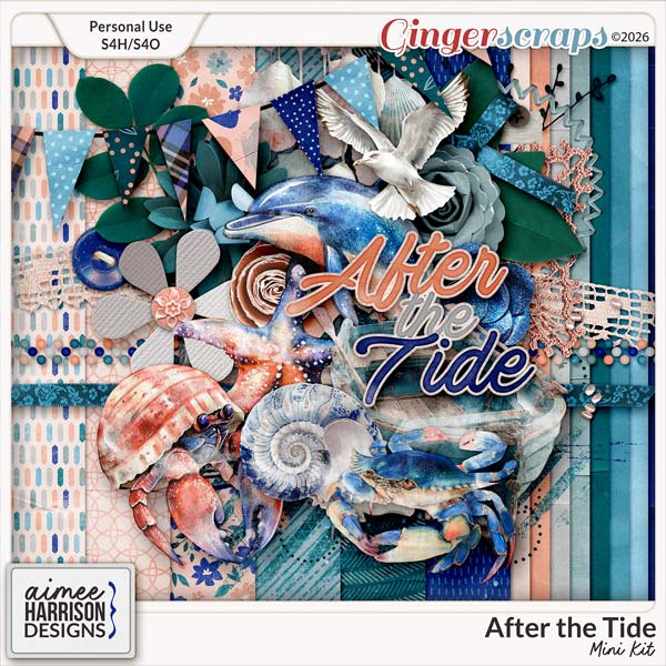 After the Tide Mini Kit Mini Kit by Aimee Harrison