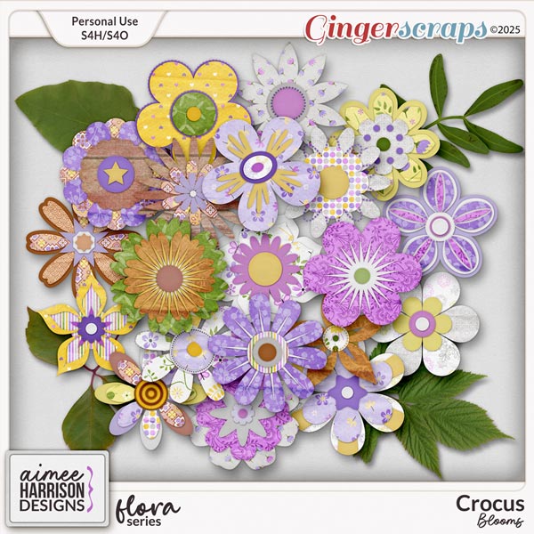 Crocus Blooms by Aimee Harrison