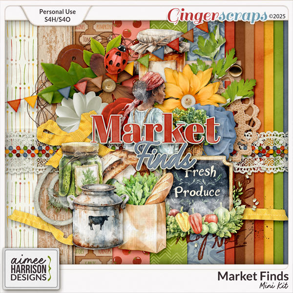 Market Finds Mini Kit by Aimee Harrison