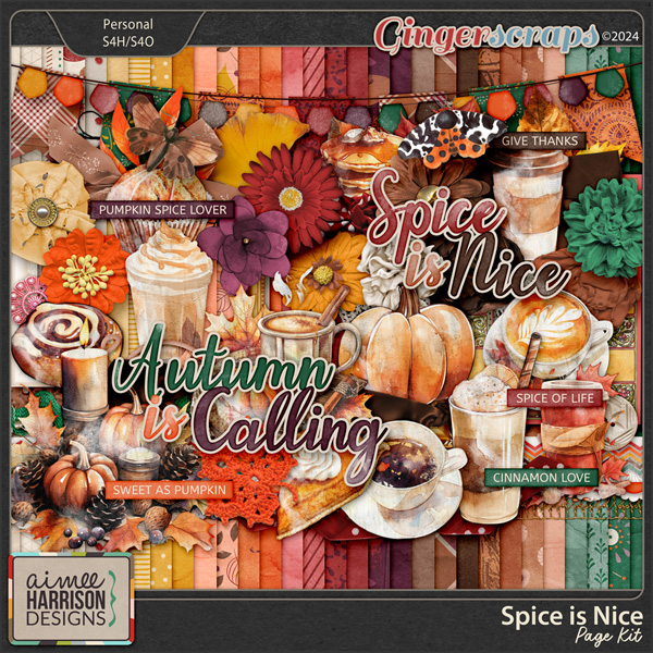 Spice is Nice Page Kit by Aimee Harrison