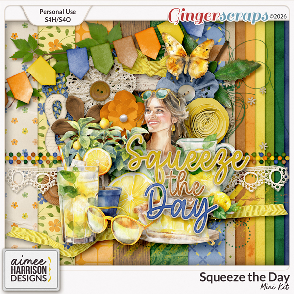 Squeeze the Day Mini Kit by Aimee Harrison