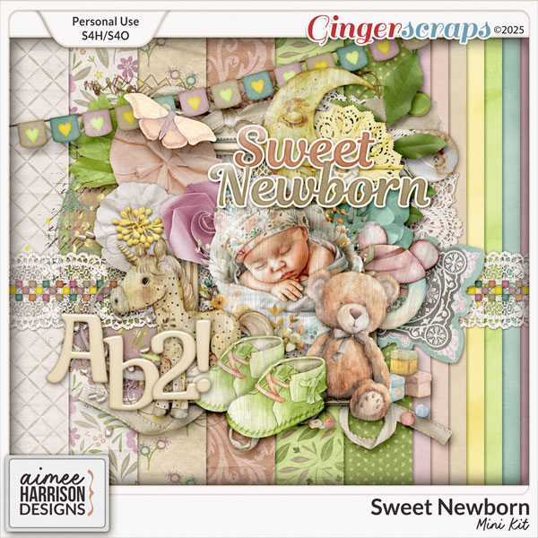Sweet Newborn Mini Kit by Aimee Harrison