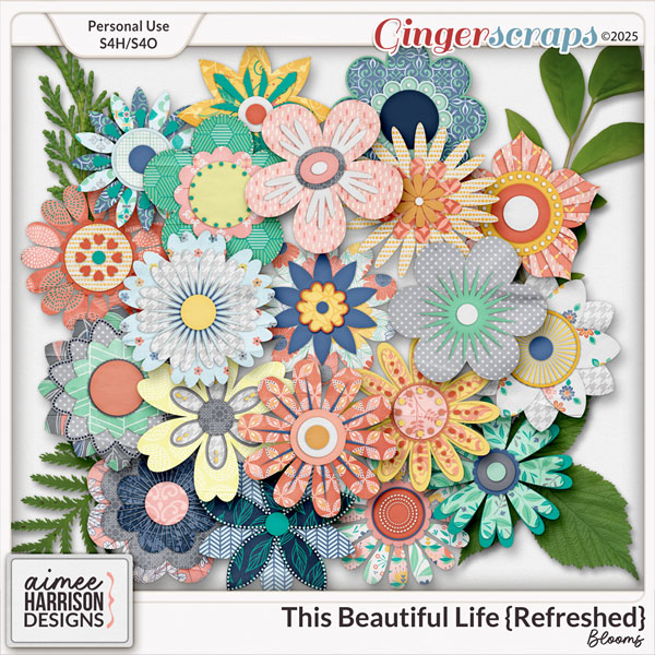 This Beautiful Life {refreshed} Blooms by Aimee Harrison