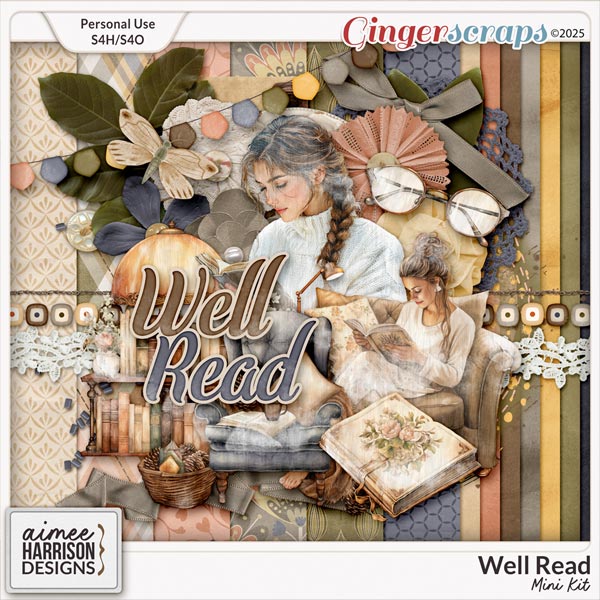 Well Read Mini Kit by Aimee Harrison