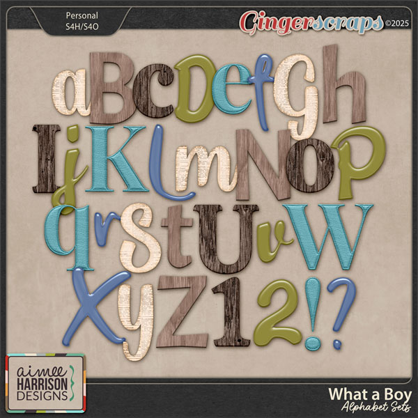 What a Boy Alphabet Sets by Aimee Harrison