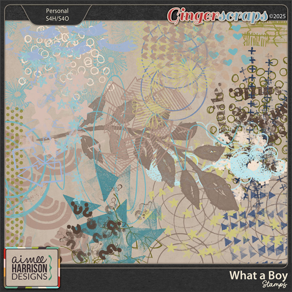 What a Boy Stamps by Aimee Harrison