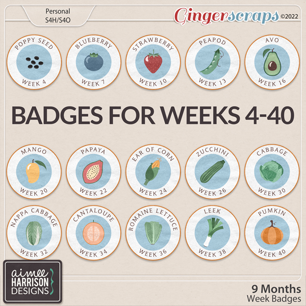 9 Months Week Badges by Aimee Harrison