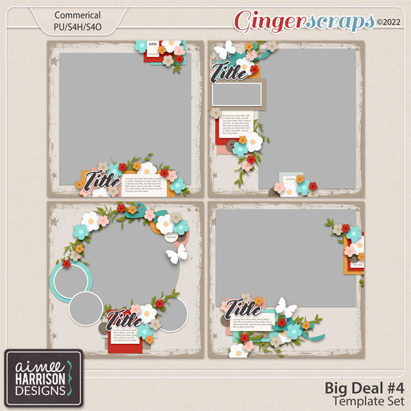 Big Deal #4 Template Set by Aimee Harrison