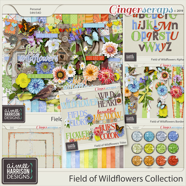 aimeeh_fieldofwildflowers_coll.jpg