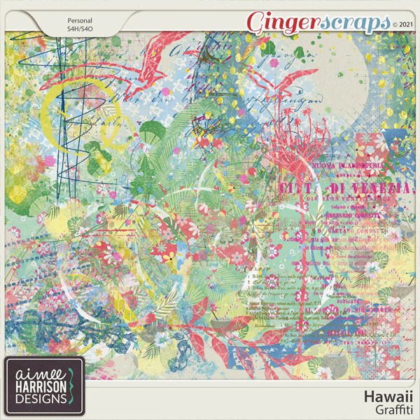 Hawaii Graffiti by Aimee Harrison