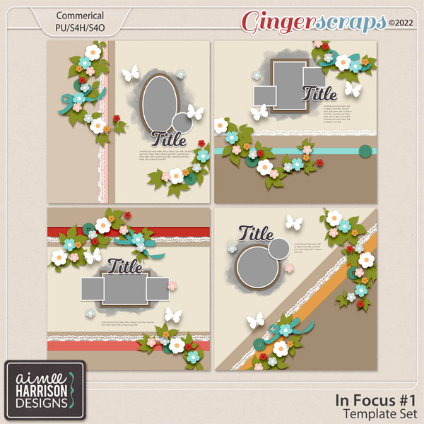 In Focus #1 Template Set by Aimee Harrison