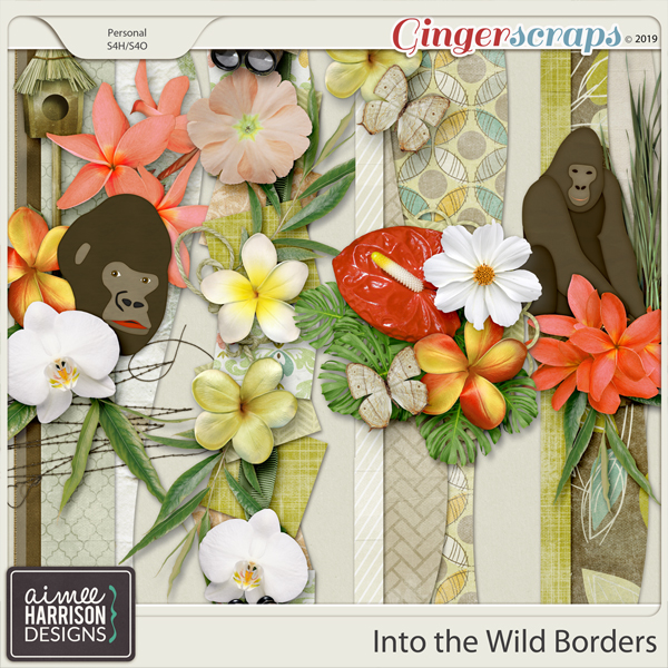 Into the Wild Borders by Aimee Harrison
