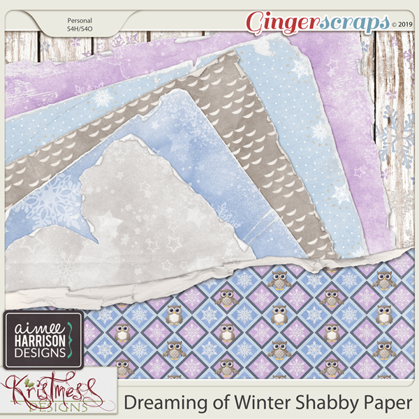 Dreaming of Winter Shabby Papers