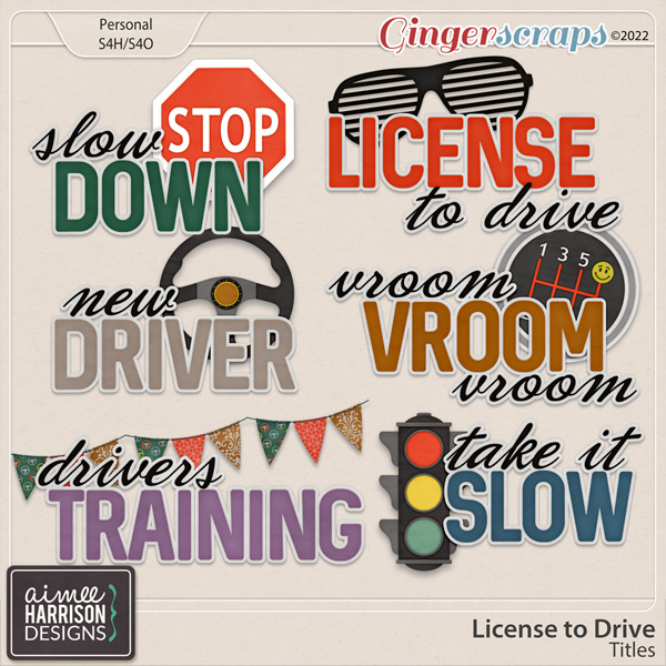 License to Drive Titles by Aimee Harrison