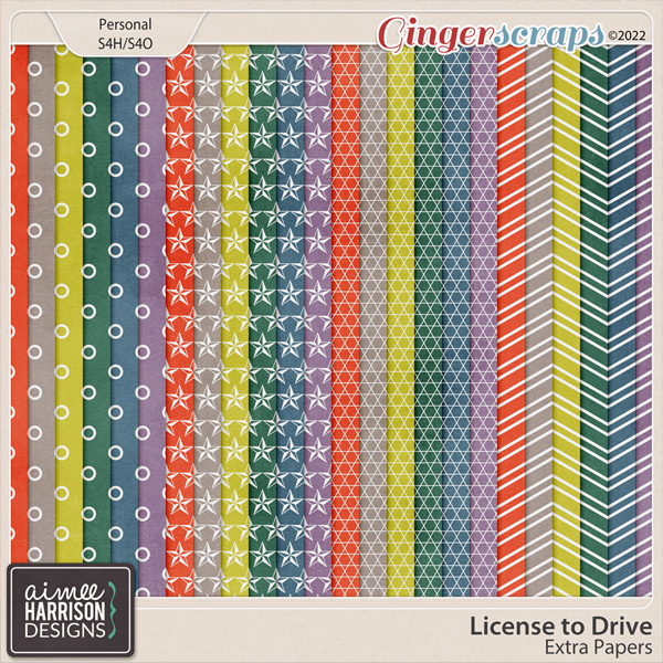 License to Drive Extra Papers by Aimee Harrison