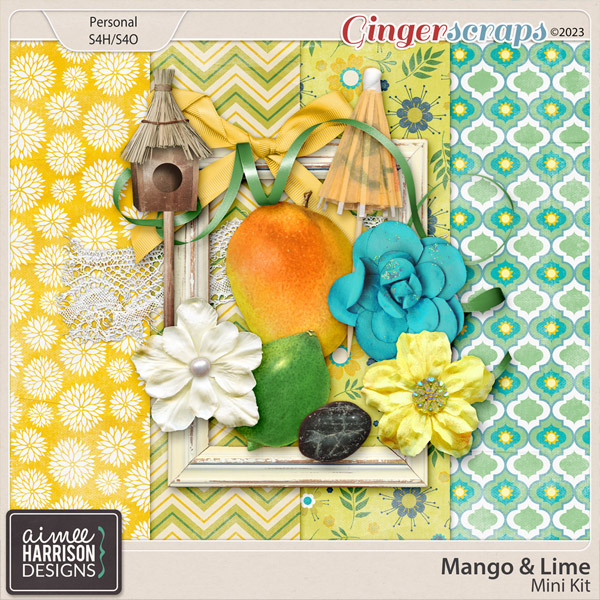 Mango & Lime Mini Kit by Aimee Harrison