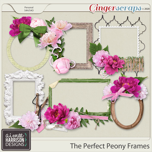 The Perfect Peony Frame Clusters by Aimee Harrison