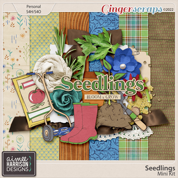 Seedlings Mini Kit by Aimee Harrison