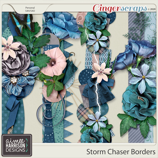 Storm Chaser Borders by Aimee Harrison