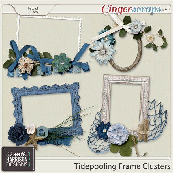 Tidepooling Frame Clusters by Aimee Harrison