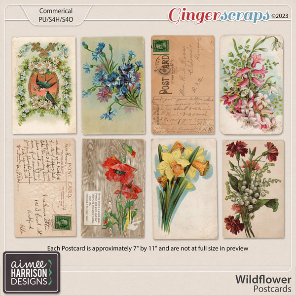 Wildflower Postcards CU by Aimee Harrison