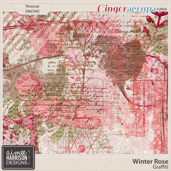 Winter Rose Graffiti by Aimee Harrison
