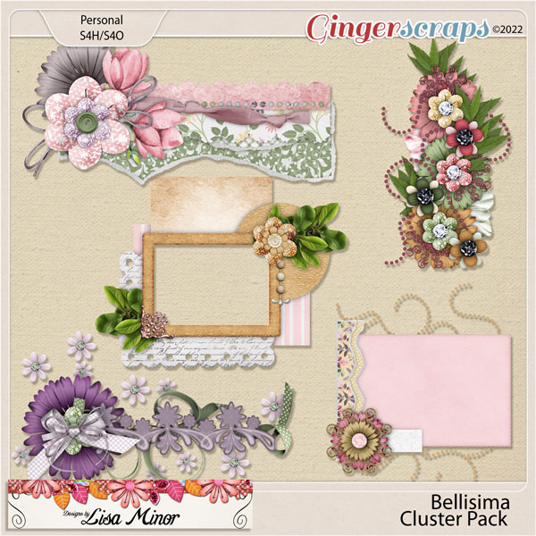 Bellisima Cluster Pack from Designs by Lisa Minor