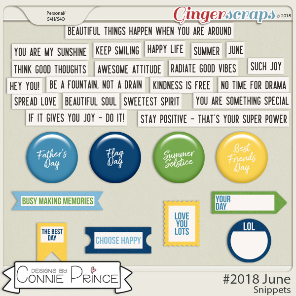 #2018 June - Snippets by Connie Prince
