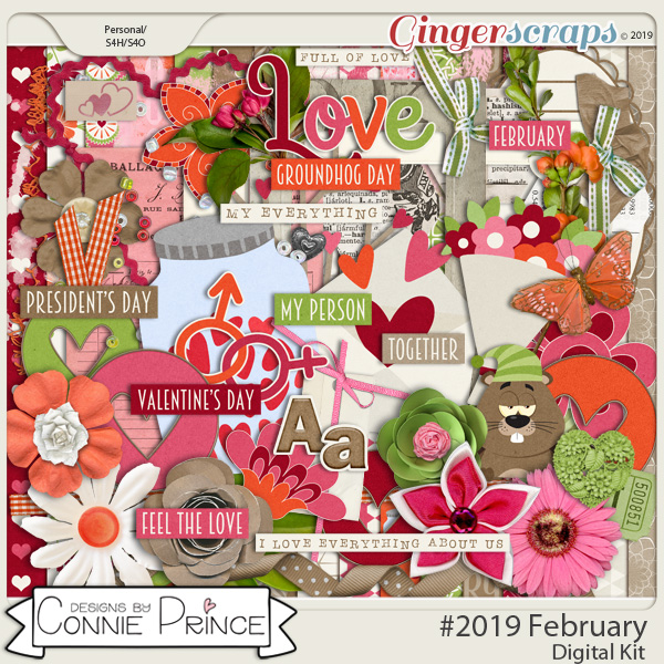 #2019 February - Kit by Connie Prince