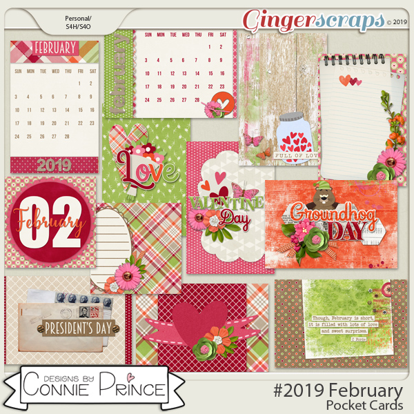 #2019 February - Pocket Cards by Connie Prince
