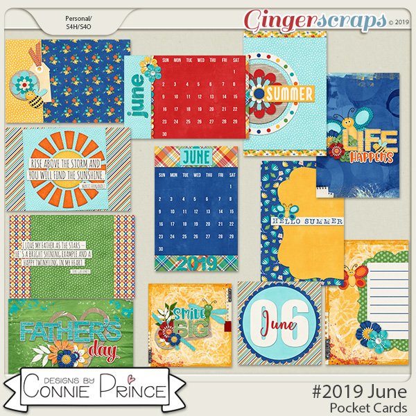 #2019 June - Pocket Cards by Connie Prince