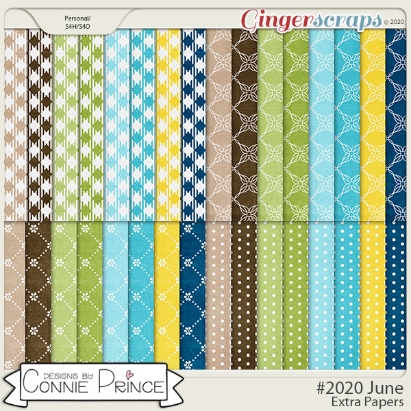 #2020 June - Extra Papers by Connie Prince