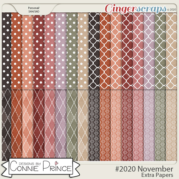 #2020 November - Extra Papers by Connie Prince