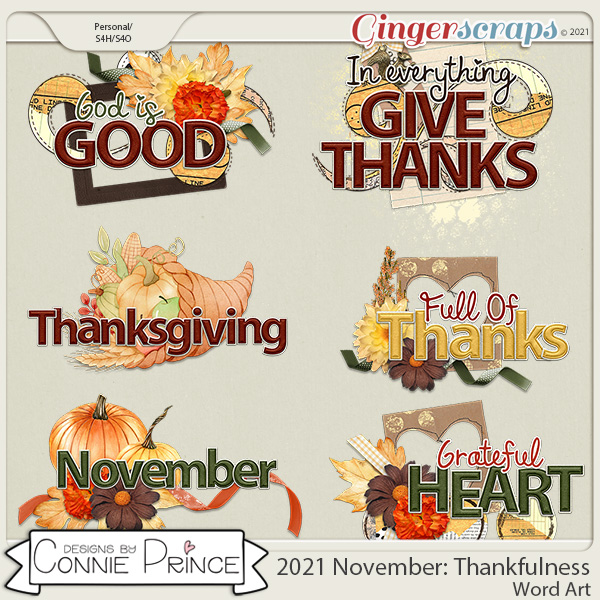 2021 November: Thankfulness Wordart by North Meets South Studios