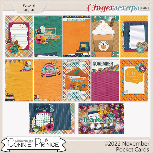 #2022 November - Pocket Cards by Connie Prince