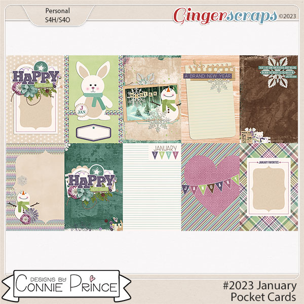 #2023 January - Pocket Cards by Connie Prince