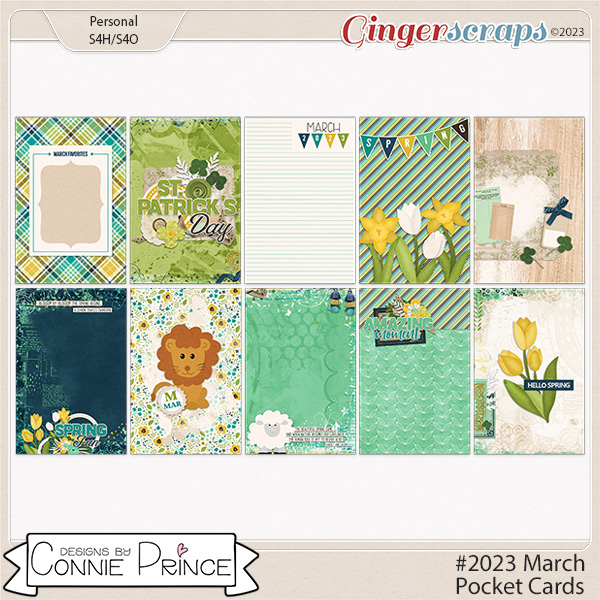 #2023 March - Pocket Cards by Connie Prince