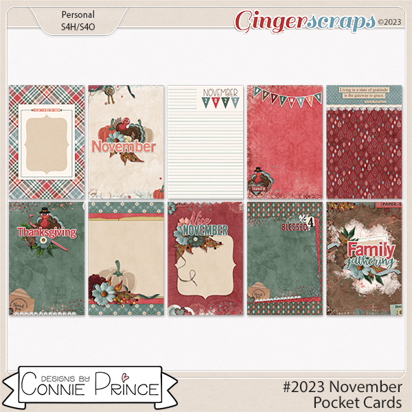 #2023 November - Pocket Cards by Connie Prince