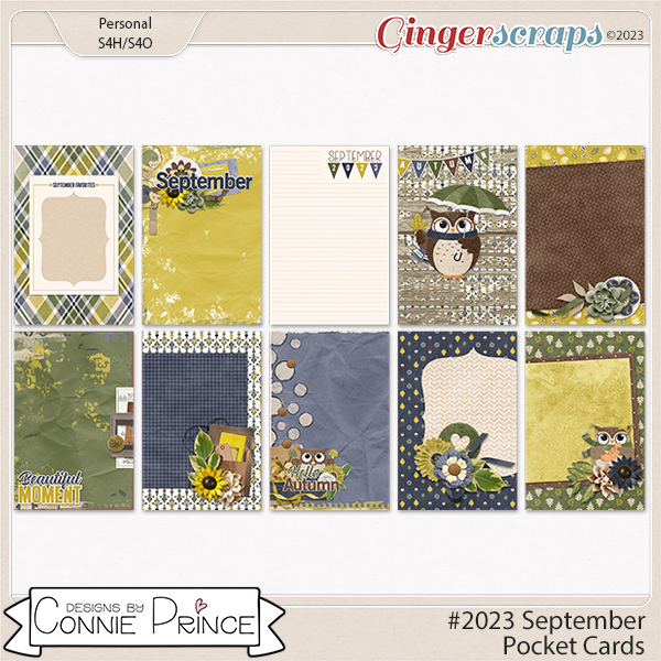 #2023 September - Pocket Cards by Connie Prince