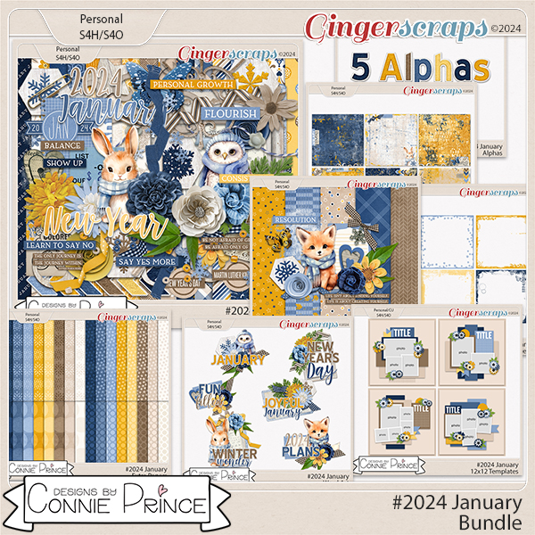 #2024 January - Bundle by Connie Prince