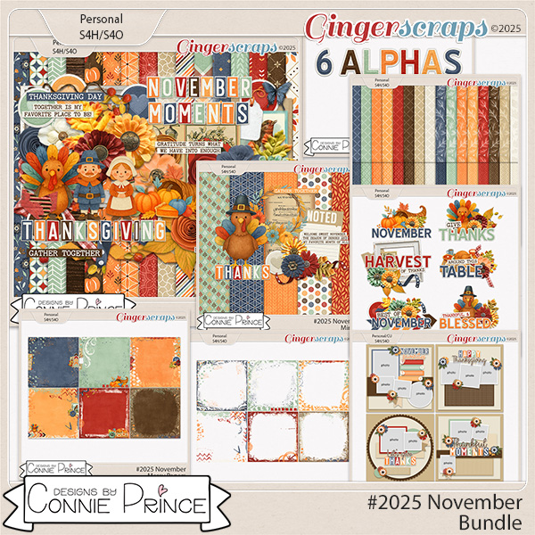 #2025 November - Bundle by Connie Prince