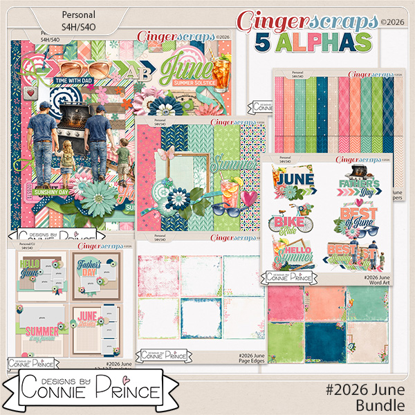 #2026 June - Bundle by Connie Prince