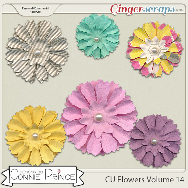 Commercial Use Flowers Volume 14 by Connie Prince