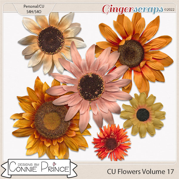 Commercial Use Flowers Volume 17 by Connie Prince